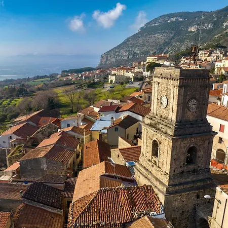 Gli Ulivi